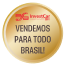 EFFA Invest Car BH - Vendemos para todo Brasil - Menor